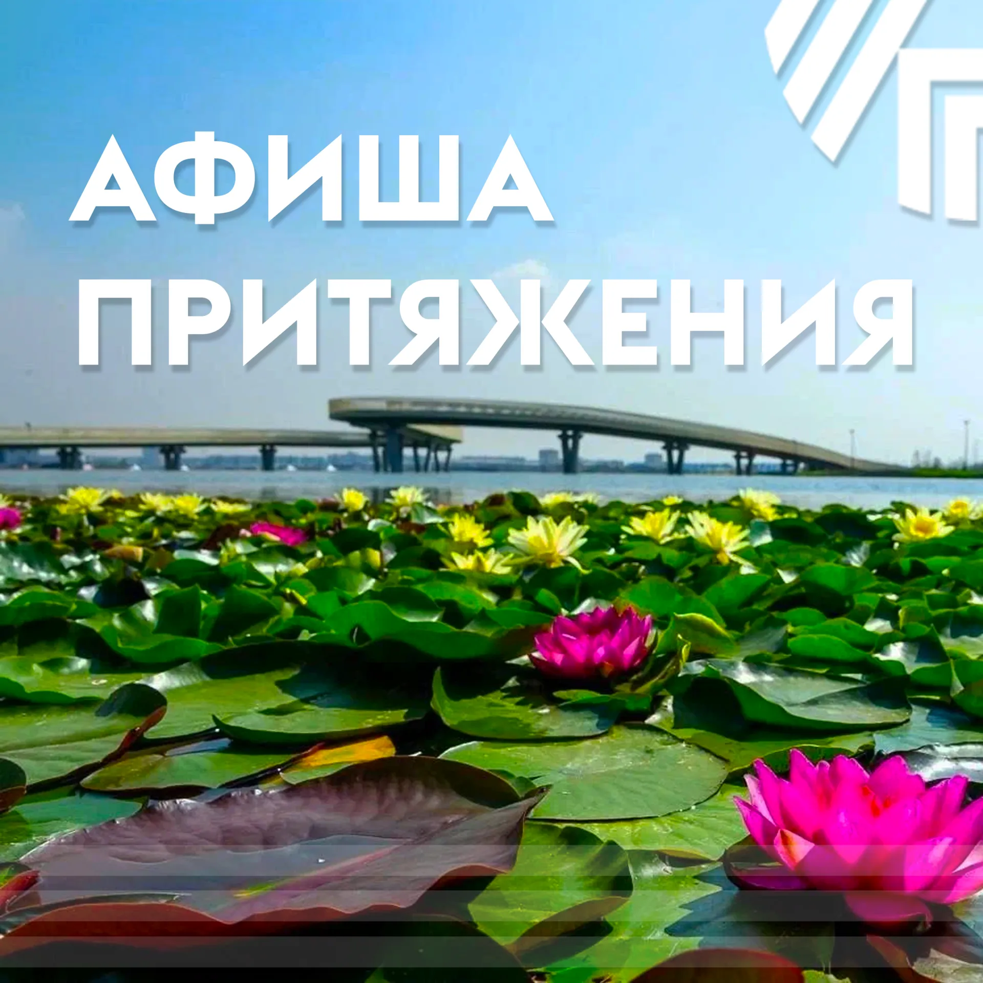 «Движение в Притяжении»