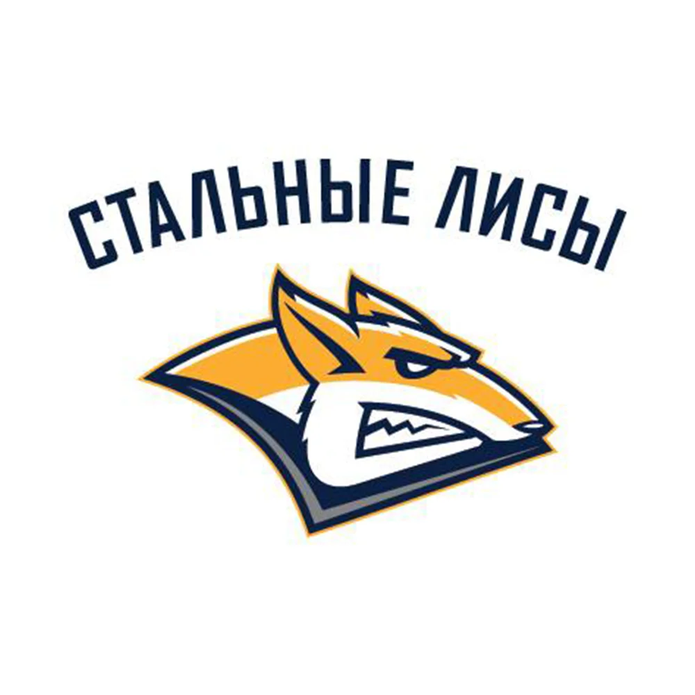 Трансляция хоккейного матча